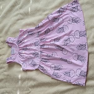 Hanna Andersson dress